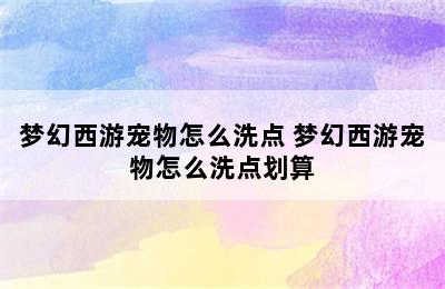 梦幻西游宠物怎么洗点 梦幻西游宠物怎么洗点划算